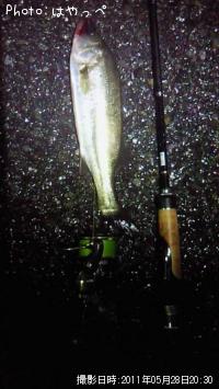 �����Х�