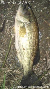 ¥Ö¥é¥Ã¥¯¥Ð¥¹