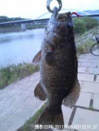 ¥Ö¥é¥Ã¥¯¥Ð¥¹