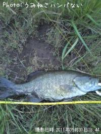 �֥�å��Х�