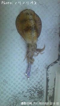 �����ꥤ��