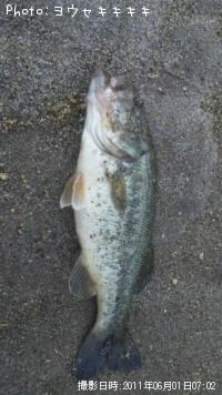 �֥�å��Х�