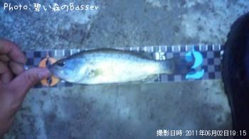 �֥�å��Х�