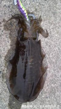 �����ꥤ��