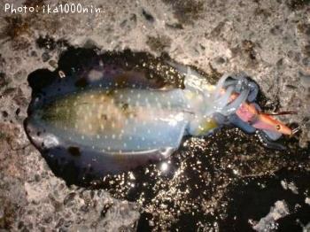 �����ꥤ��