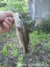 ¥Ö¥é¥Ã¥¯¥Ð¥¹