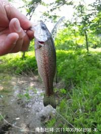 �֥�å��Х�