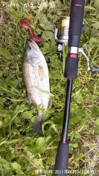 �֥�å��Х�