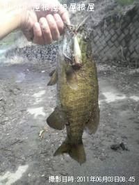 ¥¹¥â¡¼¥ë¤Á¤ã¤ó