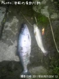 ������ޥ�