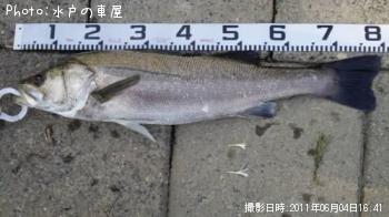 �����Х�