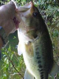 �֥�å��Х�