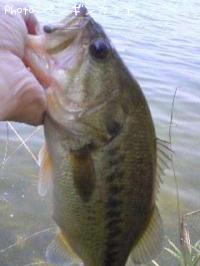 �֥�å��Х�