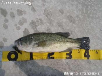 ¥Ö¥é¥Ã¥¯¥Ð¥¹