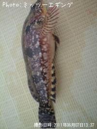 �����ʥ�