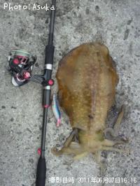 �����ꥤ��