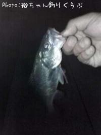 �����Х�