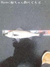 �����Х�