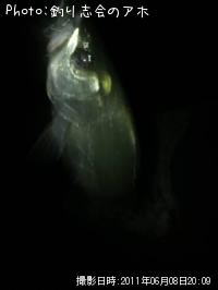 �����Х�