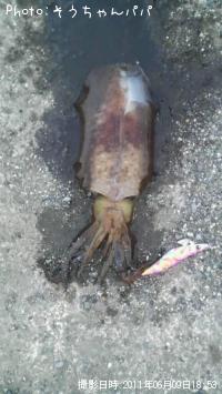 ¥¢¥ª¥ê¥¤¥«