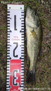 �֥�å��Х�