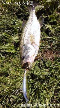 �ȥå��������֥�å��Х�