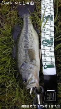 �ȥå���������֥�å��Х���