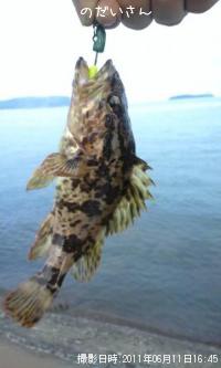 ¥¿¥±¥Î¥³¥á¥Ð¥ë