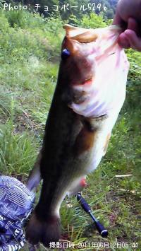 �֥�å��Х�