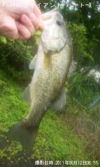 �֥�å��Х�