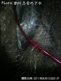 �����Х�