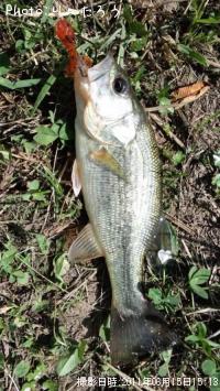 �֥�å��Х�