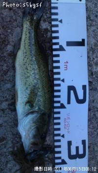 �֥�å��Х�