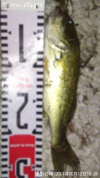 ¥Ö¥é¥Ã¥¯¥Ð¥¹