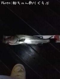 �����Х�