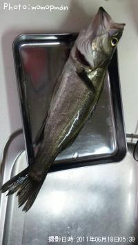 �����Х�