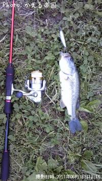 �֥�å��Х�