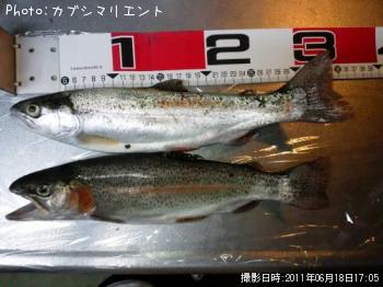 ÆúËð¡©¡Ê´ÉÍý¡Ë