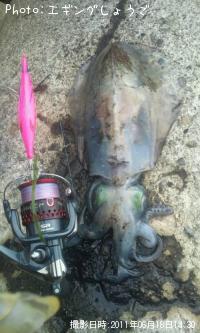 �����ꥤ��