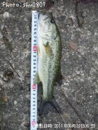 ¥Ö¥é¥Ã¥¯¥Ð¥¹