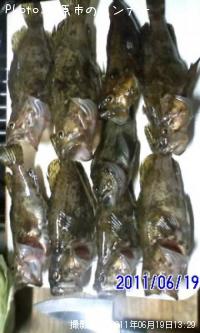 �����Υ���Х�