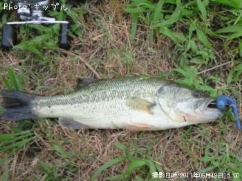 ¥Ö¥é¥Ã¥¯¥Ð¥¹