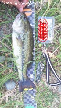 �֥�å��Х�