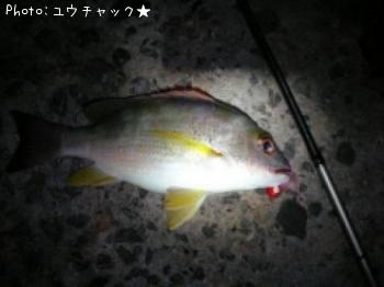 �ե��ե�������