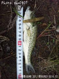 �֥�å��Х�