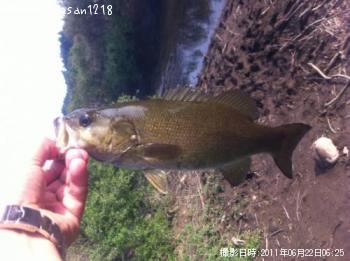 ¥¹¥â¡¼¥ë¥Þ¥¦¥¹¥Ð¥¹