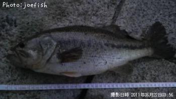 �֥�å��Х�