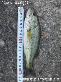 �֥�å��Х�