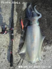 ¥¢¥ª¥ê¥¤¥«