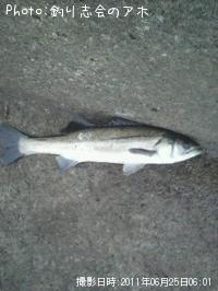 �����Х�